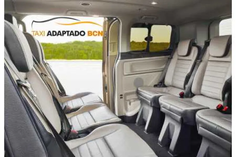 Vehículos taxi Adaptado 