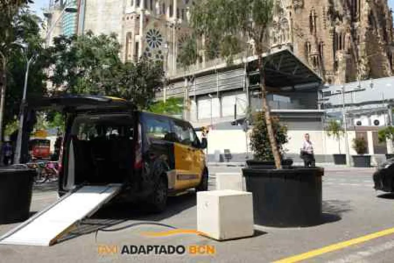 Vehículos taxi Adaptado 