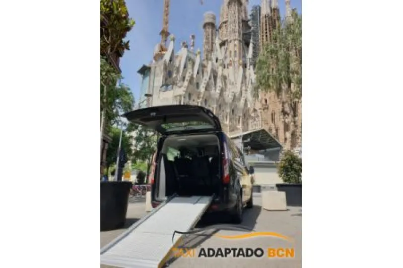 Vehículos taxi Adaptado 